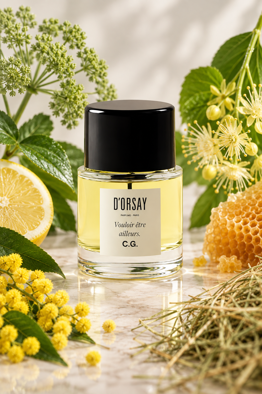 D’ORSAY Vouloir Être Ailleurs